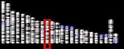 Génération de modèles de leucémogénèse et de cancérogénèse par utilisation de cellules souches IPSC ayant des mutations oncogéniques « RET »